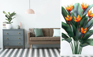 Visualisation du produit