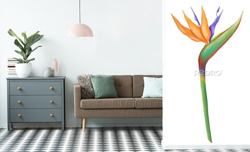 Visualisation du produit