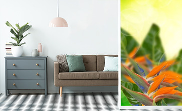 Visualisation du produit