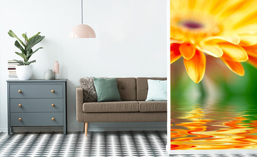 Visualisation du produit