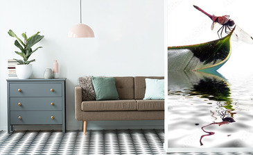 Visualisation du produit