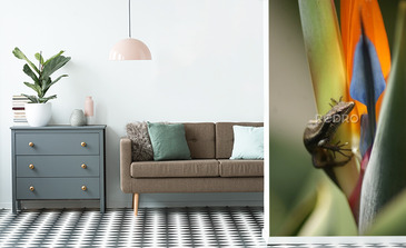 Visualisation du produit