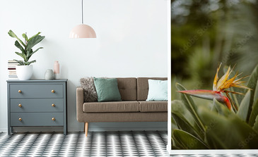 Visualisation du produit