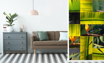 Visualisation du produit