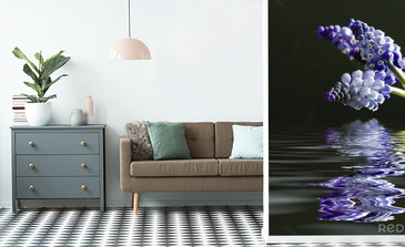 Visualisation du produit