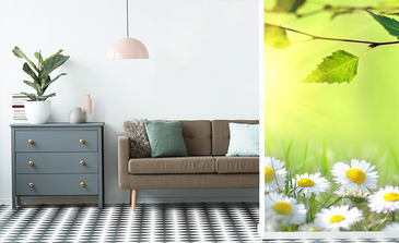 Visualisation du produit