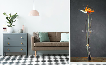 Visualisation du produit