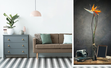 Visualisation du produit