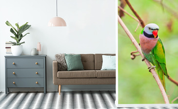 Visualisation du produit