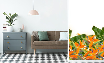 Visualisation du produit