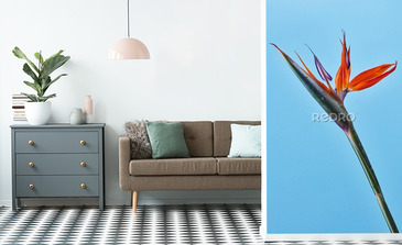 Visualisation du produit