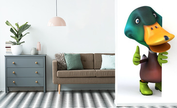 Visualisation du produit