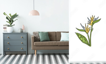 Visualisation du produit