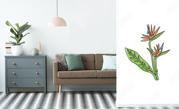 Visualisation du produit