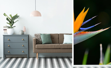 Visualisation du produit