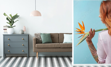 Visualisation du produit