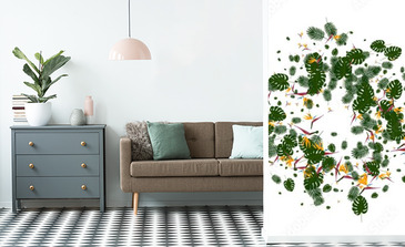 Visualisation du produit