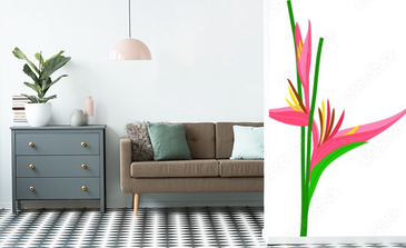 Visualisation du produit