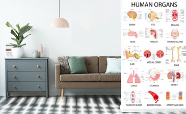 Visualisation du produit