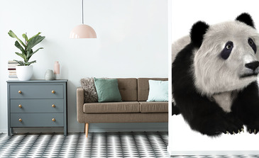 Visualisation du produit