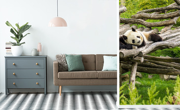 Visualisation du produit