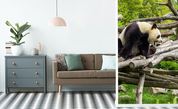 Visualisation du produit