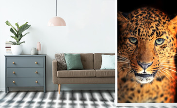 Visualisation du produit