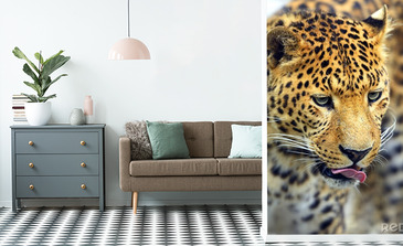 Visualisation du produit