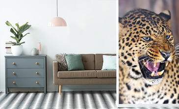 Visualisation du produit