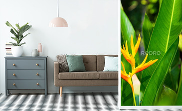 Visualisation du produit