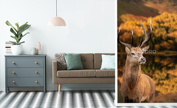 Visualisation du produit