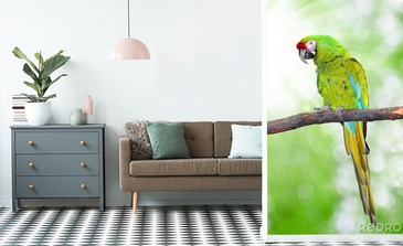 Visualisation du produit