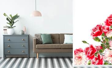 Visualisation du produit