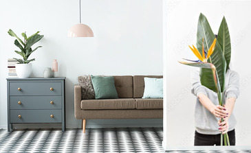 Visualisation du produit