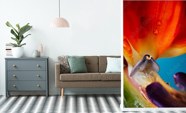 Visualisation du produit