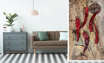 Visualisation du produit