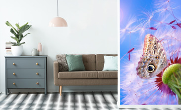 Visualisation du produit