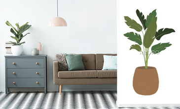 Visualisation du produit