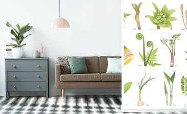 Visualisation du produit