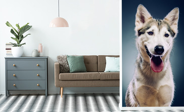 Visualisation du produit