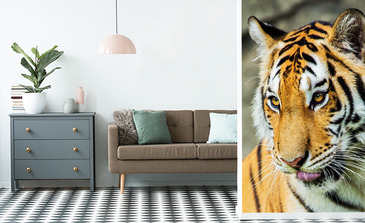 Visualisation du produit