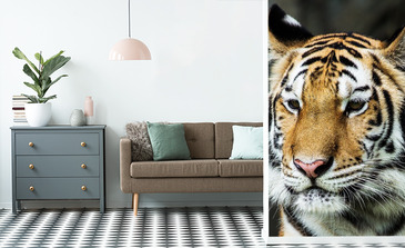 Visualisation du produit