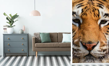 Visualisation du produit