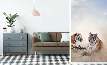 Visualisation du produit