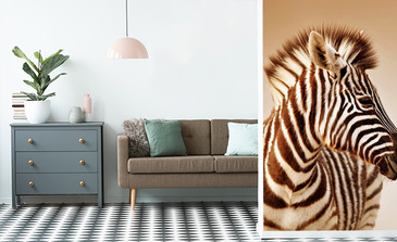 Visualisation du produit