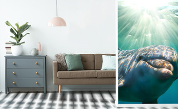 Visualisation du produit