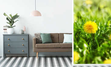 Visualisation du produit