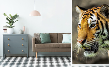 Visualisation du produit