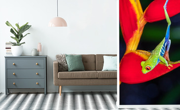 Visualisation du produit