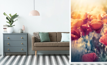 Visualisation du produit